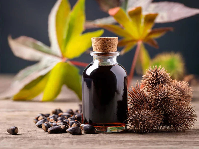 The Benefits of Black Castor Oil for Hair Growth and Scalp Health
