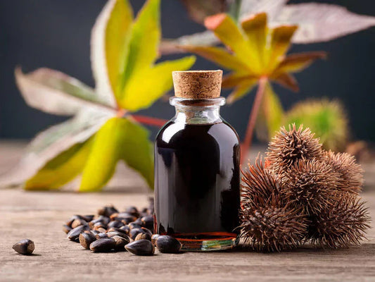 The Benefits of Black Castor Oil for Hair Growth and Scalp Health
